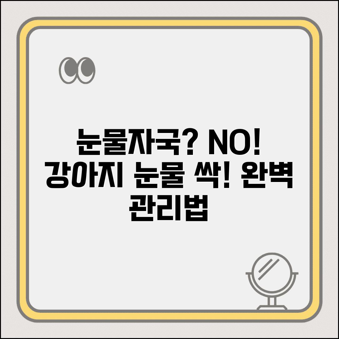 강아지 눈물자국 없애는 방법과 관리법 총정리