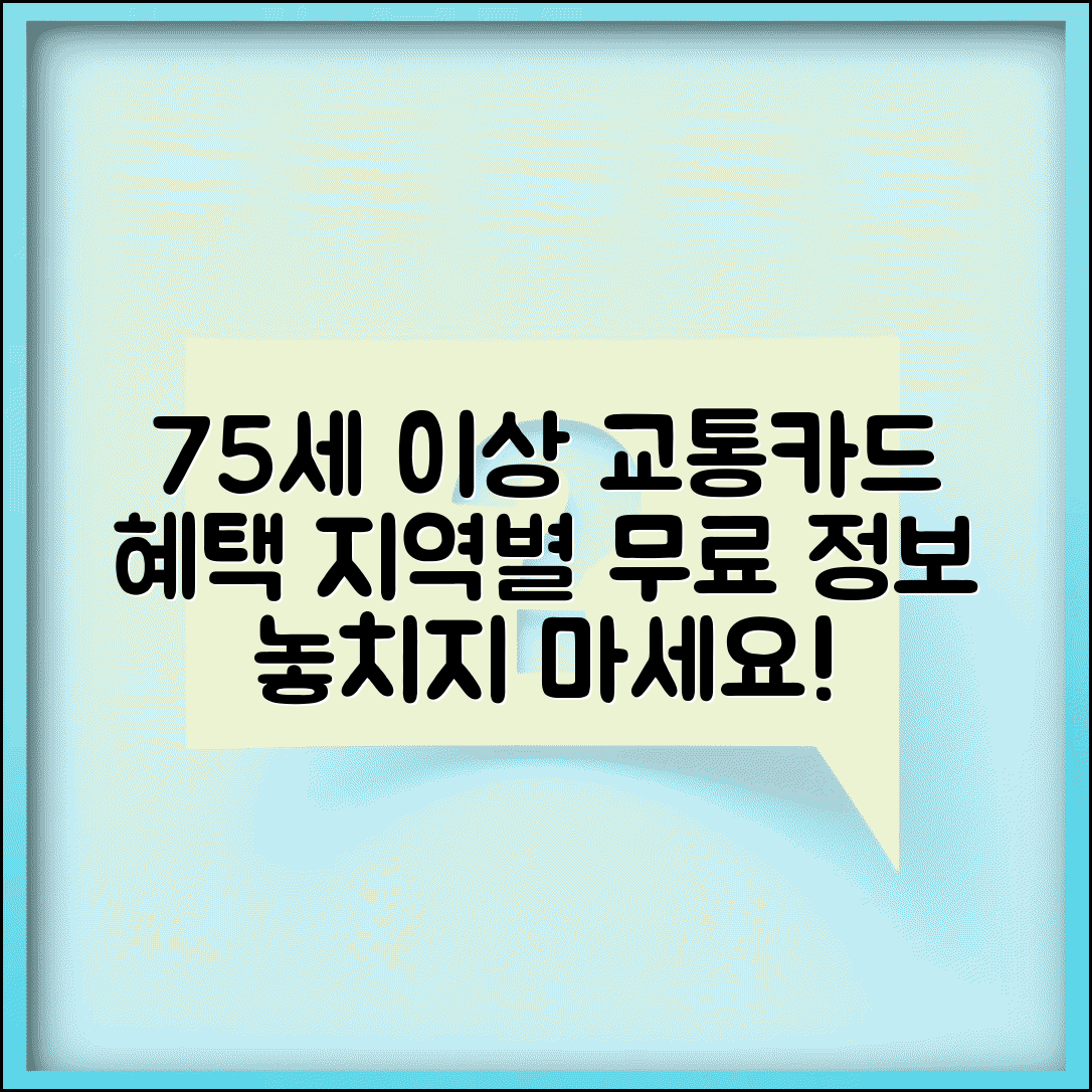 75세 이상 교통카드 혜택과 지역별 무료 이용 정보