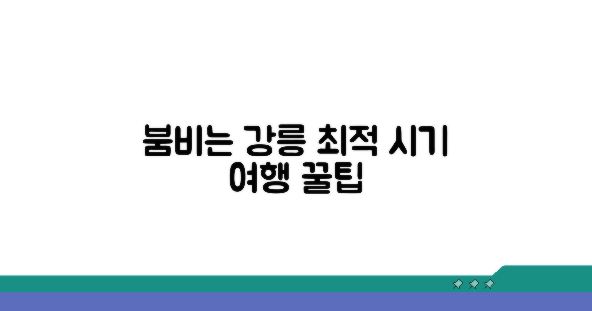 붐비는 강릉, 최적의 여행 시기