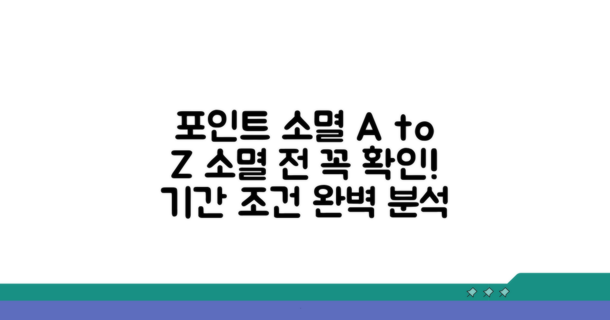 포인트 소멸 시기 및 조건 분석
