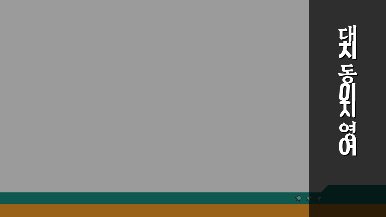 대치동 이지영어 영어/국어 특화 수강료 수업방식 교재 효과 성적향상 상담 문의 집중 분석