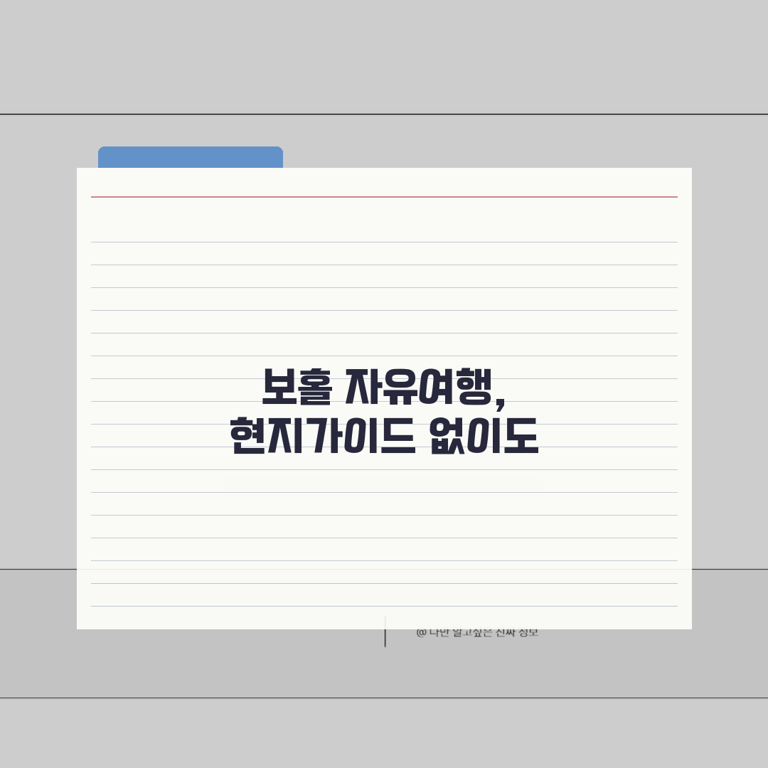 보홀 섬투어 현지가이드 없이 자유여행으로 가능할까: 7단계 완벽가이드