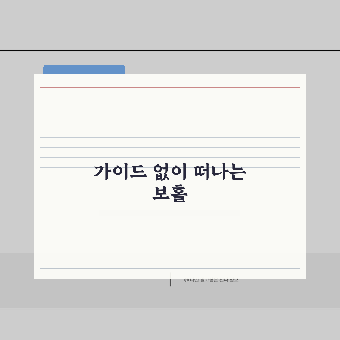 보홀 섬투어 현지가이드 없이 자유여행으로 가능할까: 7단계 완벽가이드