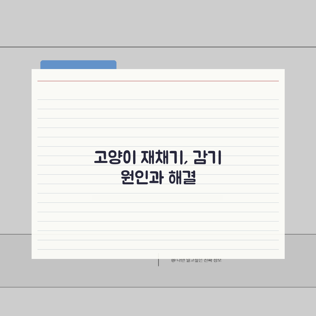 고양이 재채기 지속 원인 감기 | 고양이 재채기 원인과 치료 총정리: 5가지 핵심 원인